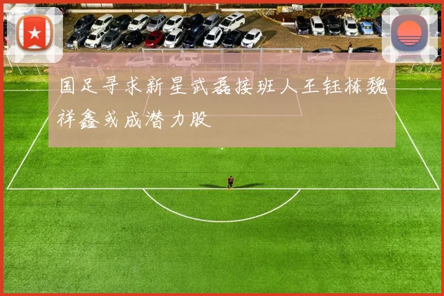 国足寻求新星武磊接班人王钰栋魏祥鑫或成潜力股